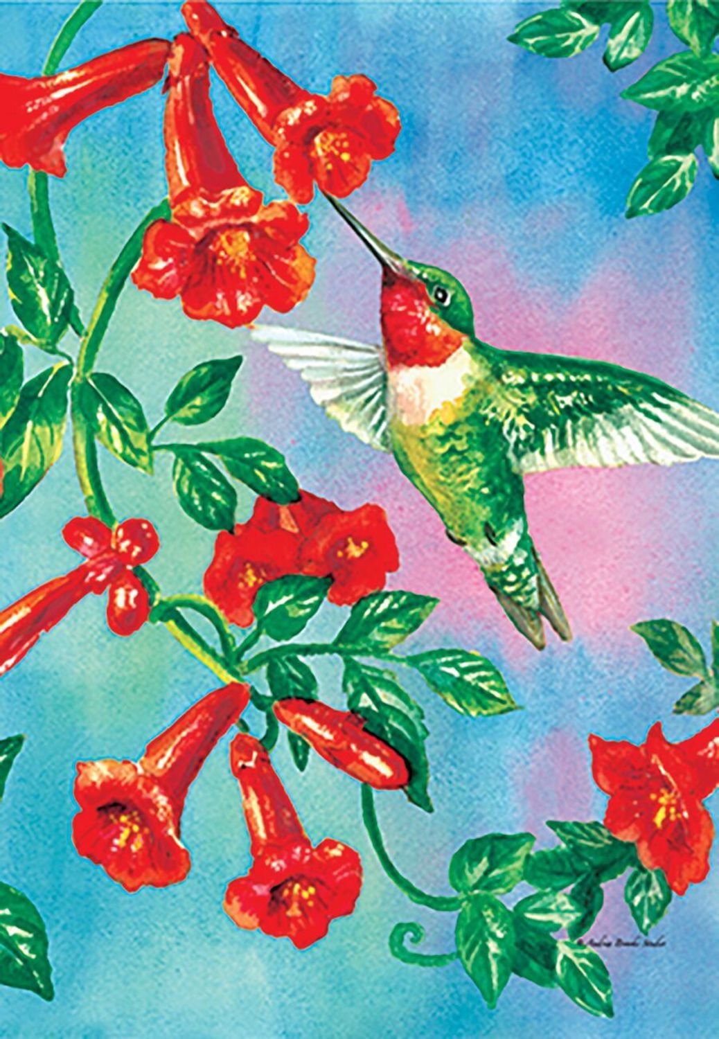 Garden flag with a ruby-throated hummingbird sipping red trumpet vine flowers on a blue sky