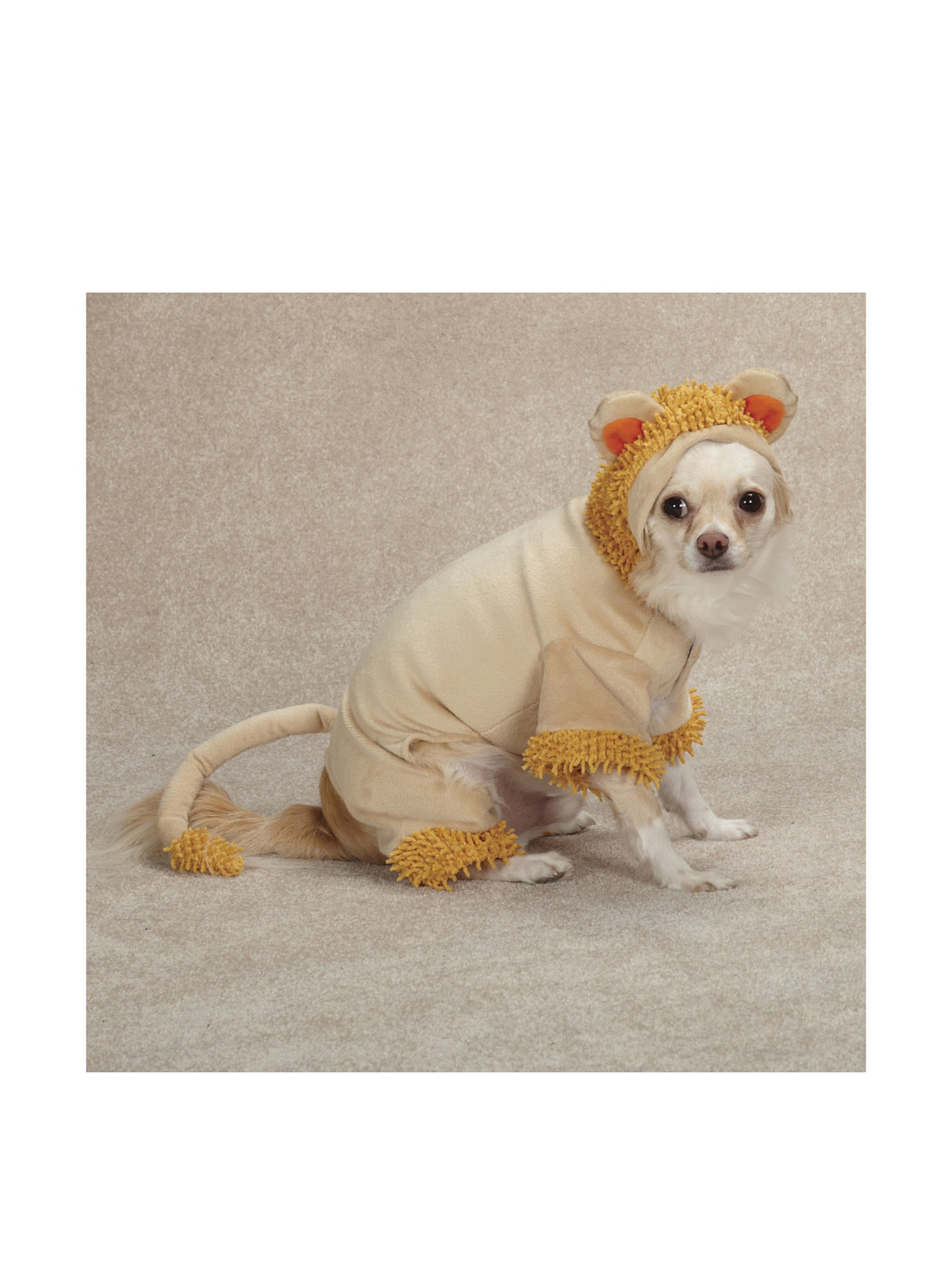 Small white dog sitting in a tan lion costume with a shaggy orange mane and ears