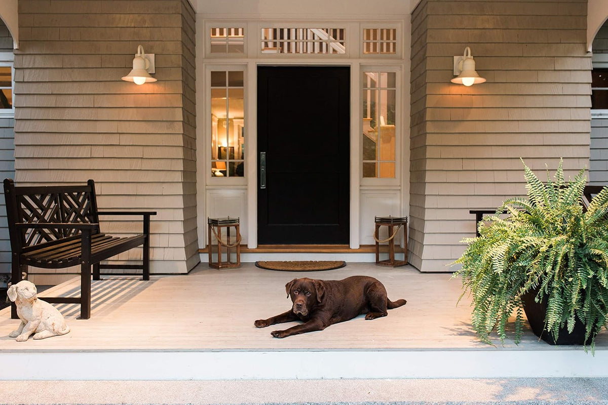 Porch with two lit wall lamps, a bench and a brown dog lying by the front door