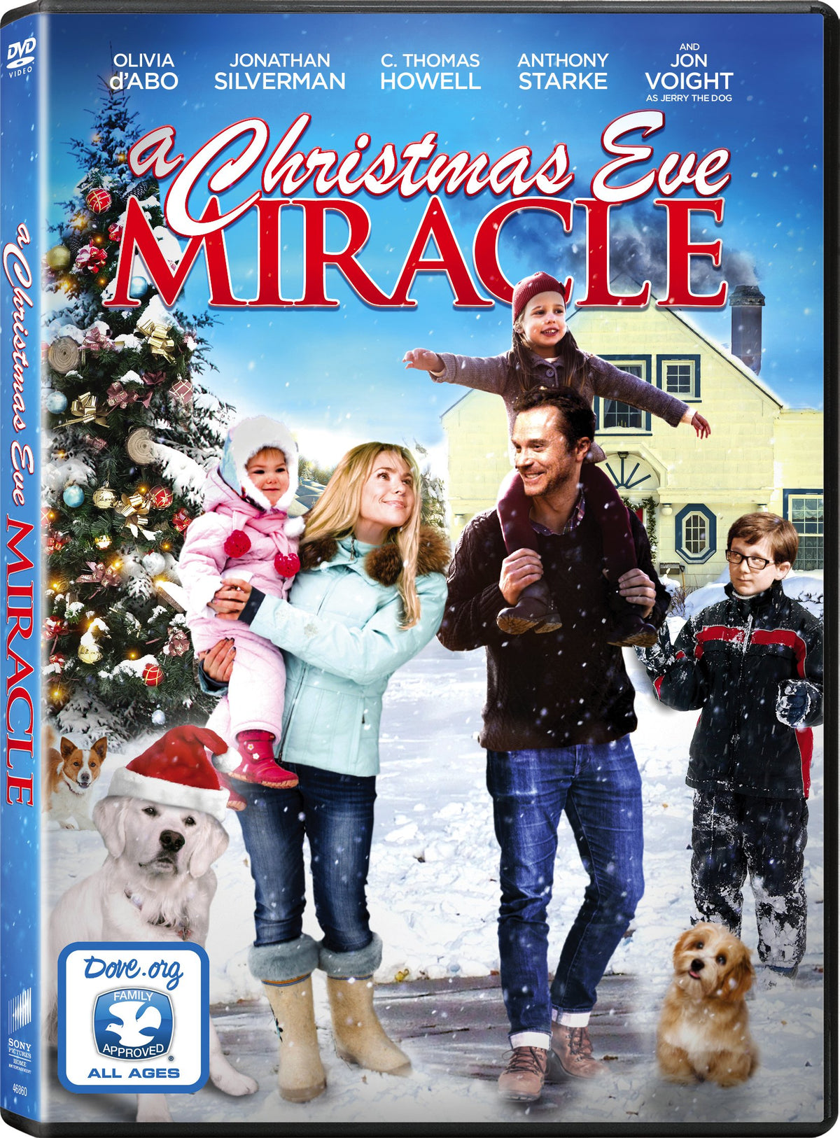 A Christmas Eve Miracle DVD cover with a family, dogs and a decorated tree in the snow