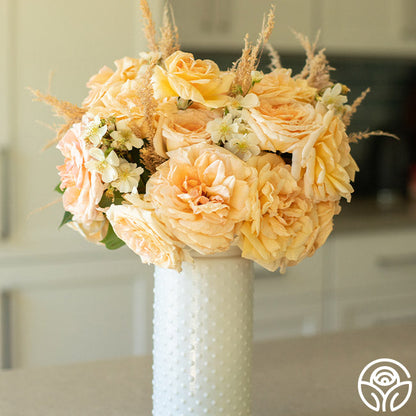 Rose - Apricots n' Cream