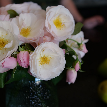 Rose - Flavorette - Pear'd