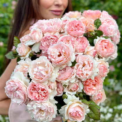 Rose - Princesse Charlene de Monaco