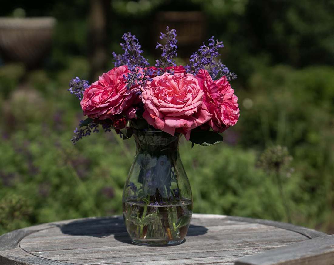 Rose - Loves Me, Loves Me Not