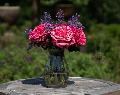 Rose - Loves Me, Loves Me Not