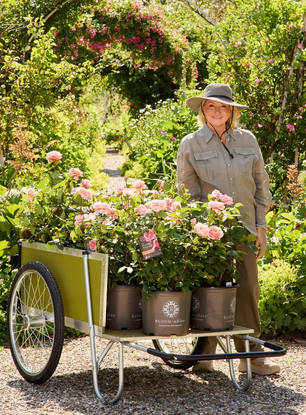 Rose - Martha Stewart