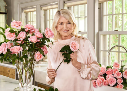 Rose - Martha Stewart