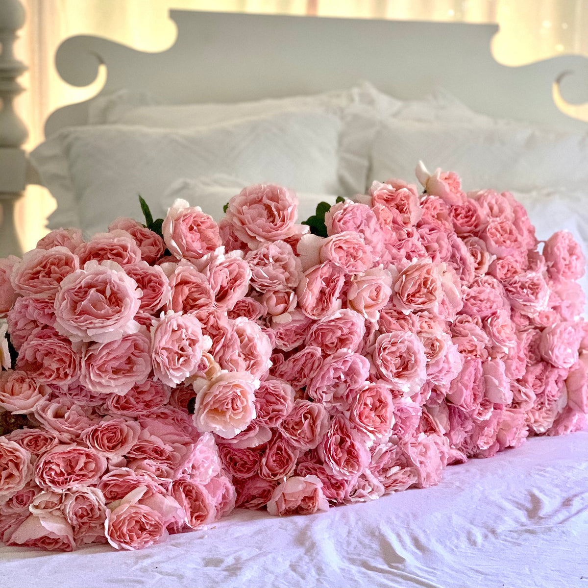 Rose - Princesse Charlene de Monaco