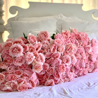 Rose - Princesse Charlene de Monaco