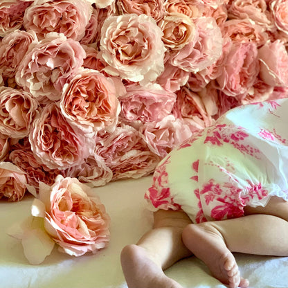 Rose - Princesse Charlene de Monaco