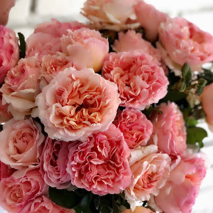 Rose - Princesse Charlene de Monaco