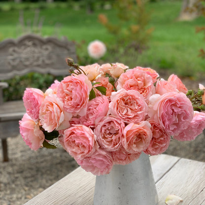 Rose - Princesse Charlene de Monaco