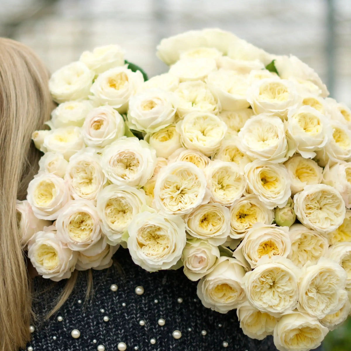 Rose - Royal Park