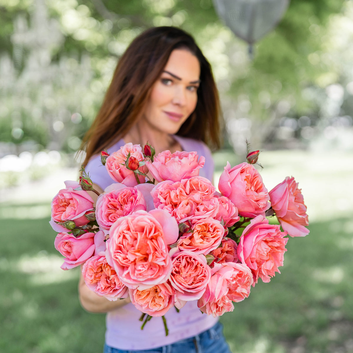 Rose - Sweet Mademoiselle