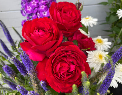 Rose - Tiamo