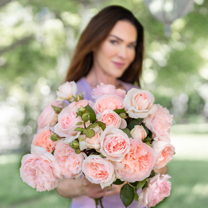 Rose - Parfuma Bliss