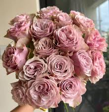 Rose - Florist Rose- Bourbon Street