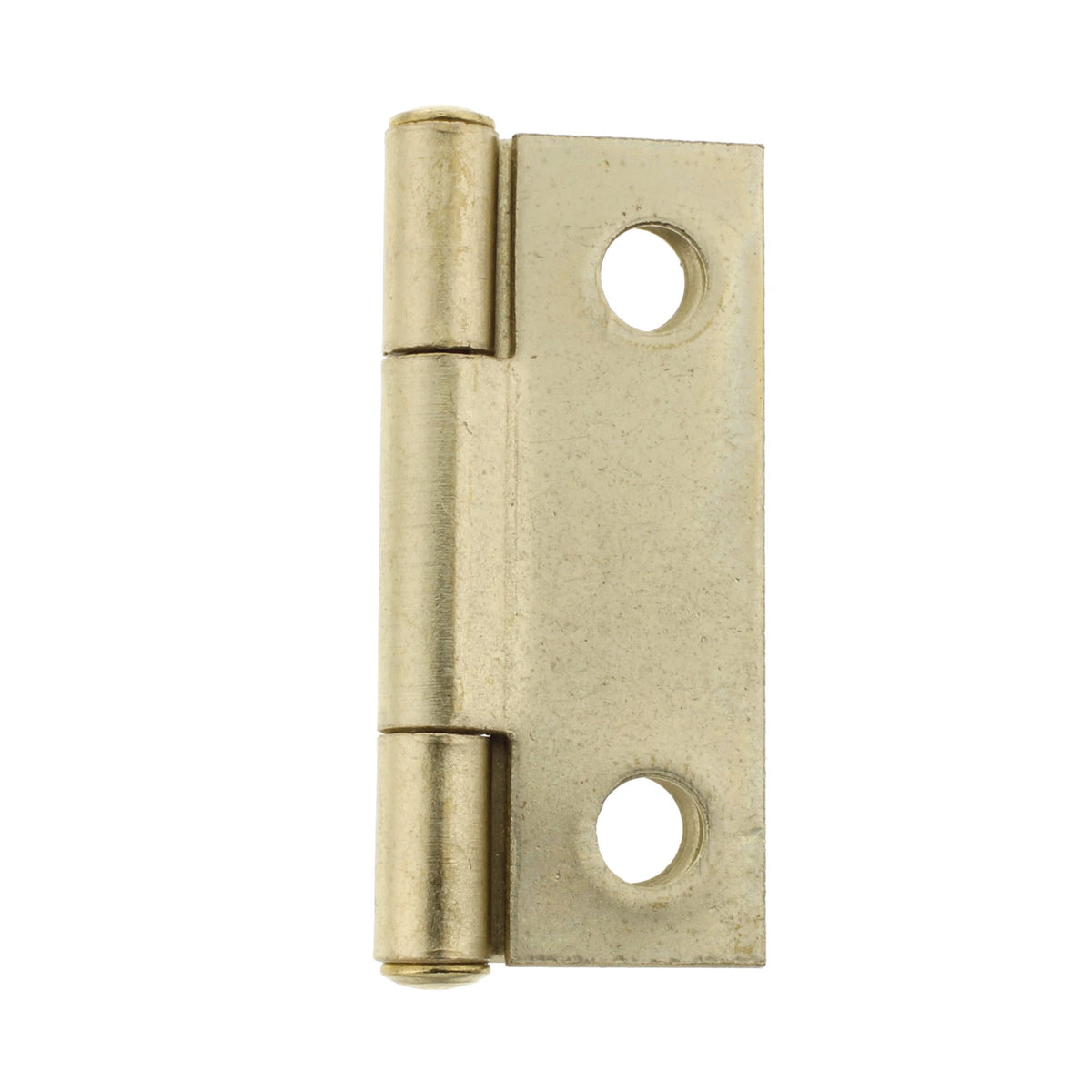 Brass hinge folded closed showing one leaf and the pin knuckle