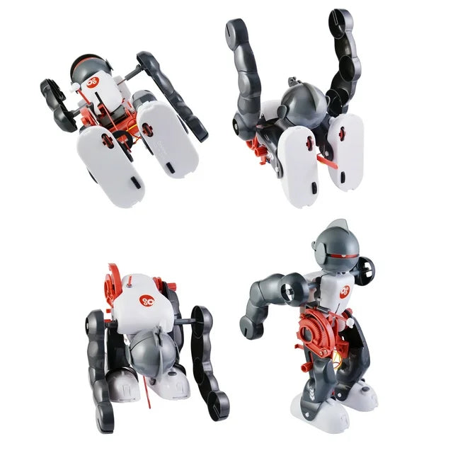 Four poses of the tumbling robot: standing, flipping and handstand