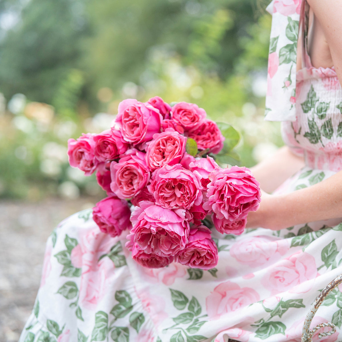 Rose - Dee-Lish