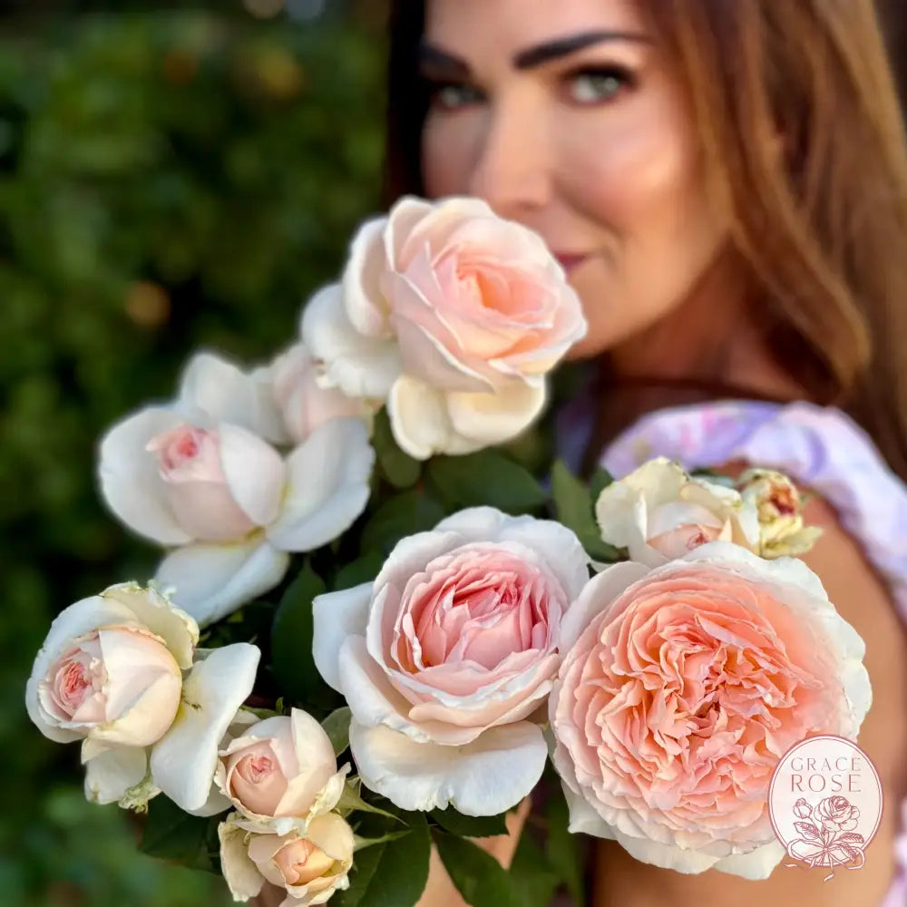 Rose - Parfuma Bliss