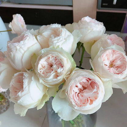 Rose - Florist Rose- Emma Woodhouse