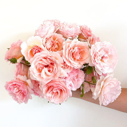 Rose - Princesse Charlene de Monaco