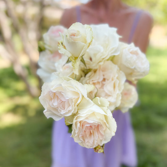 Rose - Shirley's Bouquet