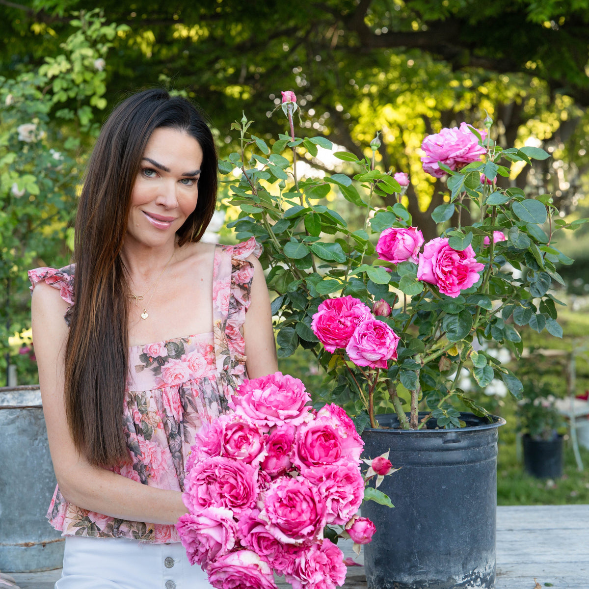 Rose - Yves Piaget