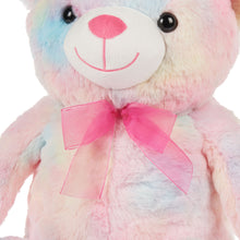 Load image into Gallery viewer, WAY TO CELEBRATE! 15.5&quot; Pink Tie Dye Bear Plush Toy
