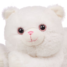 Load image into Gallery viewer, WAY TO CELEBRATE! Cat Plush Toy

