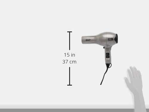 Andis 1875-Watt Professional Tourmaline Ceramic Ionic Hair Dryer, Platinum (82310)
