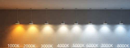 Row of pendant lights showing color temperatures from 1000K to 8000K