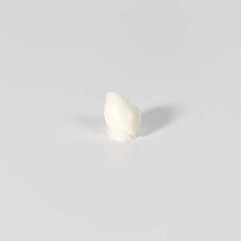 Load image into Gallery viewer, Level 3 Spider Wax - Long Lasting and Strong Hold L3
