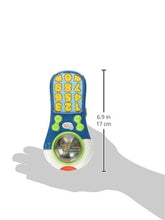 Load image into Gallery viewer, Baby Einstein Click &amp; Discover Remote
