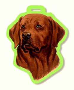 Luggage tag shaped like a painted chocolate Labrador head with a green edge