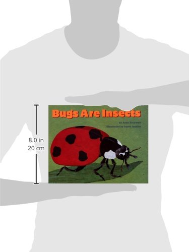 Bugs Are Insects book held against an outline, 8 inches tall