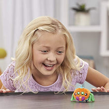Load image into Gallery viewer, Hasbro Yellies! Toots; Voice-Activated Spider Pet; Ages 5 and up
