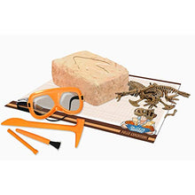 Load image into Gallery viewer, Uncle Milton Dr. Steve Hunters Paleo Expedition Dino Dig Excavation Kit Scientific Educational Toy
