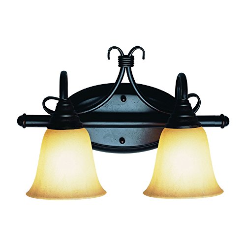Portfolio 2-Light Forged Bronze Bathroom Vanity Light