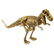 Load image into Gallery viewer, Uncle Milton Dr. Steve Hunters Paleo Expedition Dino Dig Excavation Kit Scientific Educational Toy

