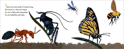 Inside spread with an ant, cricket, mosquito, monarch butterfly and bee