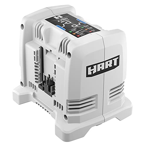 White Hart 20V two-port battery charger with status lights on top