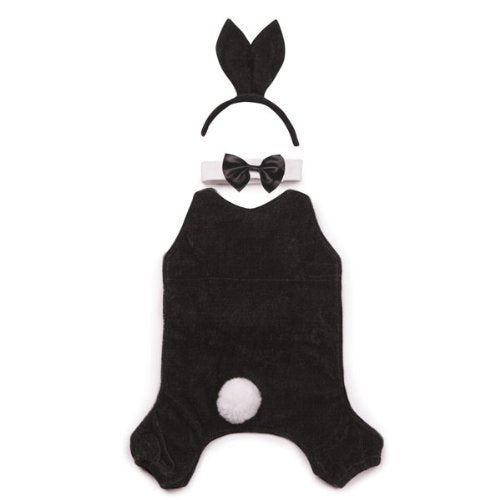 Casual Canine Party Hounds Bunny Costume, X-Large - Realmdrop Shop