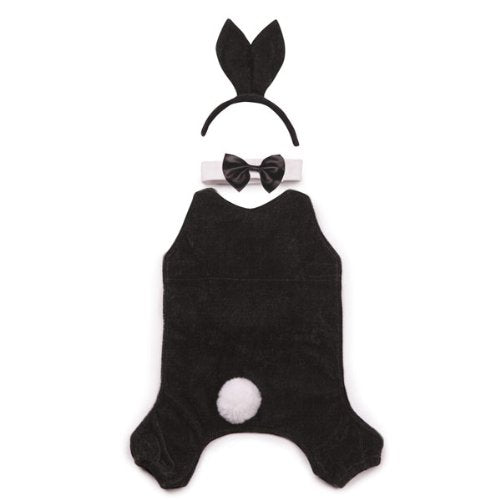 Casual Canine Party Hounds Bunny Costume, X-Large