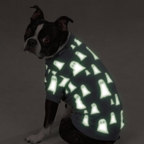 Ghost print tee glowing in the dark on a Boston terrier