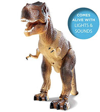 Load image into Gallery viewer, Remote-Controlled T-Rex Seasonal
