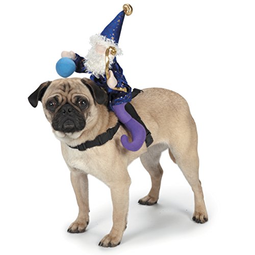 Pug wearing a saddle with a plush blue wizard rider holding an orb