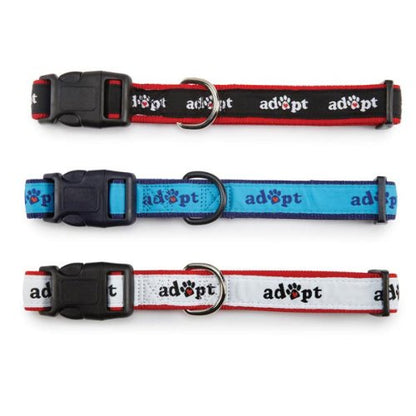 Casual Canine Nylon Adopt Dog Collar, 14-20-Inch, Blue