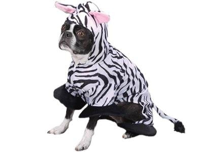 Zack & Zoey Wild Safari Animal Zebra Halloween Dog Costume Medium